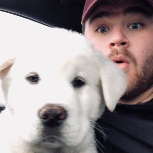 Meet your Posher, Brandon